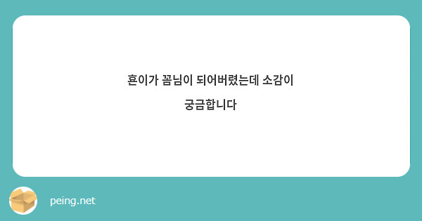 횬이가 꼼님이 되어버렸는데 소감이 궁금합니다