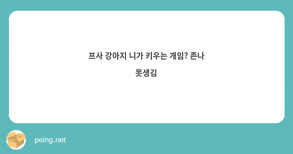 프사 강아지 니가 키우는 개임 존나 못생김 Peing 질문함