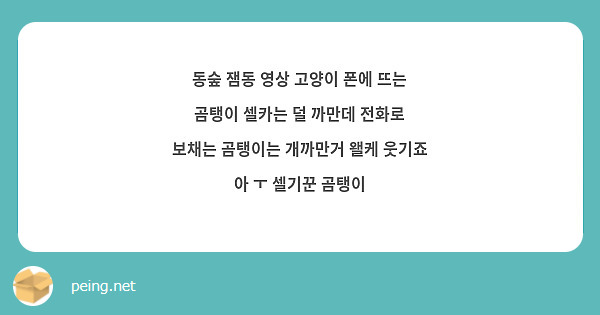 동숲 잼동 영상 고양이 폰에 뜨는 곰탱이 셀카는 덜 까만데 전화로 보채는 곰탱이는 개까만거 왤케 | Peing -질문함-
