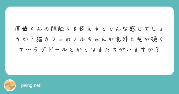 直哉くんの肌触りを例えるとどんな感じでしょうか？猫カフェのノルちゃんが意外と毛が硬くて…ラグドールとかとはまたちがいますか？
