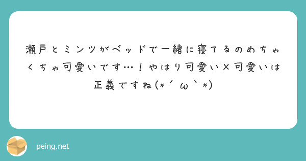 瀬戸とミンツがベッドで一緒に寝てるのめちゃくちゃ可愛いです…！やはり可愛い×可愛いは正義ですね(*´ω｀*)