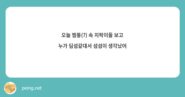 오늘 찜통(?) 속 지락이들 보고 누가 딤섬같대서 섬섬이 생각났어