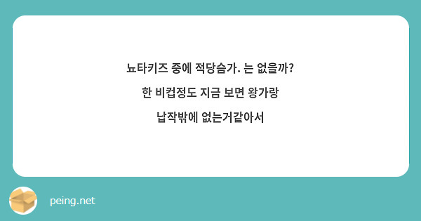 뇨타키즈 중에 적당슴가. 는 없을까? 한 비컵정도 지금 보면 왕가랑 납작밖에 없는거같아서