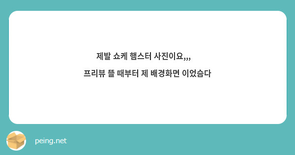제발 쇼케 햄스터 사진이요,,,😢
프리뷰 뜰 때부터 제 배경화면 이었슴다
