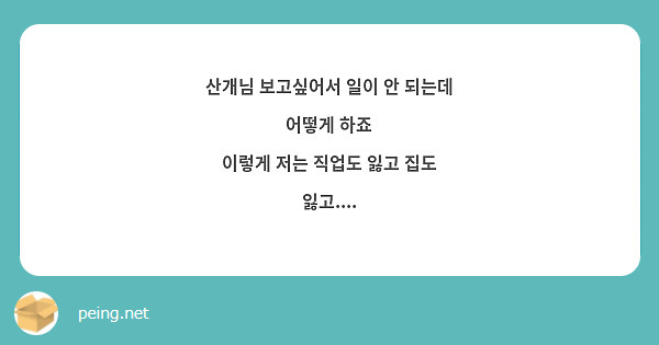 산개님 보고싶어서 일이 안 되는데 어떻게 하죠 
이렇게 저는 직업도 잃고 집도 잃고....