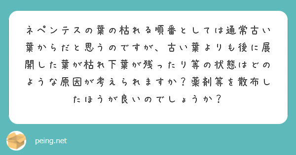 ネペンテスの葉の枯れる順番としては通常古い葉からだと思うのですが、古い葉よりも後に展開した葉が枯れ下葉が残ったり等の状態はどのような原因が考えられますか？薬剤等を散布したほうが良いのでしょうか？