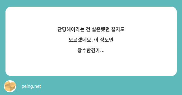 단명헤어라는 건 실존했던 걸지도 모르겠네요. 이 정도면 장수한건가...