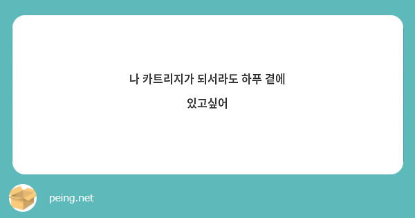 나 카트리지가 되서라도 하푸 곁에 있고싶어