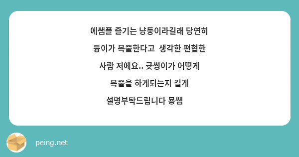 에쌤플 즐기는 냥둥이라길래 당연히 듕이가 목줄한다고  생각한 편협한 사람 저에요.. 귯썽이가 어떻게 목줄을 하게되는지 길게 설명부탁드립니다 묭쌤 😏