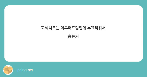 회색니트는 이루어드림인데 부끄러워서 숨는거