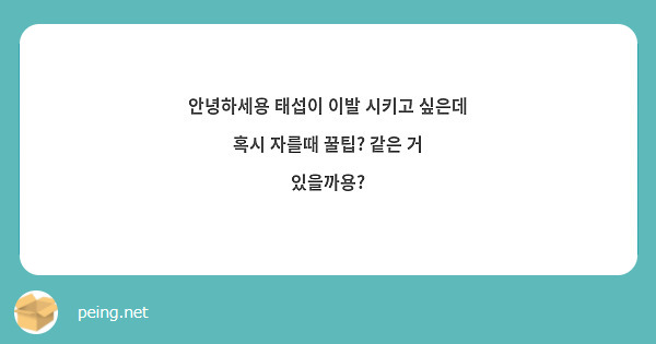 안녕하세용 태섭이 이발 시키고 싶은데 혹시 자를때 꿀팁? 같은 거 있을까용?