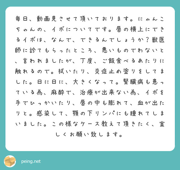 毎日、動画見させて頂いております。にゃんこちゃんの、イボについてです。唇の横上にできるイボは、なんで、できるんでしょうか？獣医師に診てもらったところ、悪いものでわないと、言われましたが、丁度、ご飯食べるあたりに触れるので。拭いたり、炎症止め塗りをしてました。日に日に、大きくなって。腎臓病も患っている為、麻酔で、治療が出来ない為、イボを手でひっかいたり、唇の中も膨れて、血が出たりと。感染して、顎の下リンパにも腫れてしまいました。この様なケース教えて頂きたく、宜しくお願い致します。
