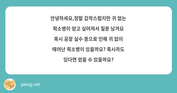 안녕하세요,정말 갑작스럽지만 귀 없는 쥑소병이 얻고 싶어져서 질문 남겨요 혹시 공장 실수 등으로 인해 귀 없이 태어난 쥑소병이 있을까요? 혹시라도 있다면 얻을 수 있을까요?