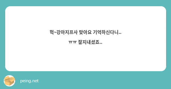 헉~강아지프사 맞아요 기억하신다니.. ㅠㅠ 잘지내셨죠..