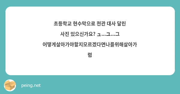 초등학교 현수막으로 천관 대사 달린 사진 있으신가요? ュ...ユ...그 어떻게살아가야할지모르겠다면나를위해살아가렴