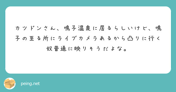 コレクション 鳴子 カメラ