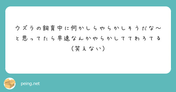 ウズラの飼育中に何かしらやらかしそうだな〜と思ってたら早速なんかやらかしててわろてる(笑えない)