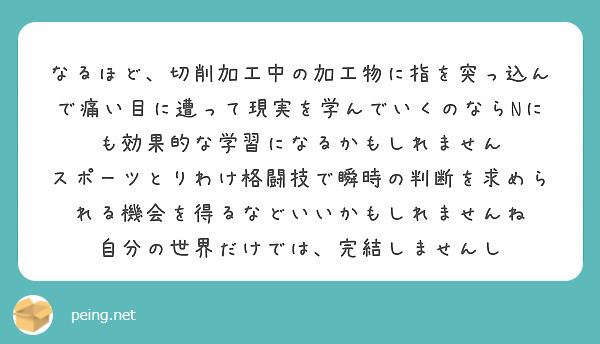 なるほど、切削加工中の加工物に指を突っ込んで痛い目に遭って現実を学んでいくのならNにも効果的な学習になるかもしれません
スポーツとりわけ格闘技で瞬時の判断を求められる機会を得るなどいいかもしれませんね
自分の世界だけでは、完結しませんし