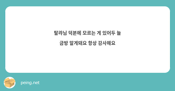 탈랴님 덕분에 모르는 게 있어두 늘 금방 알게돼요 항상 감사해요