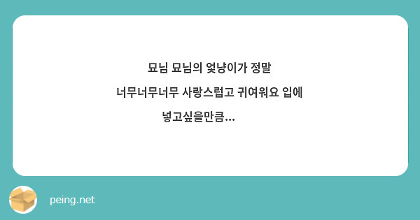 묘님 묘님의 엋냥이가 정말 너무너무너무 사랑스럽고 귀여워요 입에 넣고싶을만큼...🥹🥹