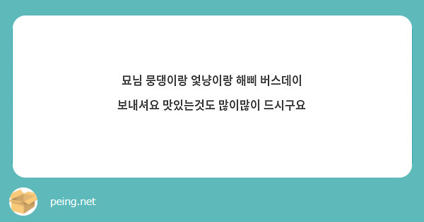 묘님 뭉댕이랑 엋냥이랑 해삐 버스데이 보내셔요 맛있는것도 많이많이 드시구요