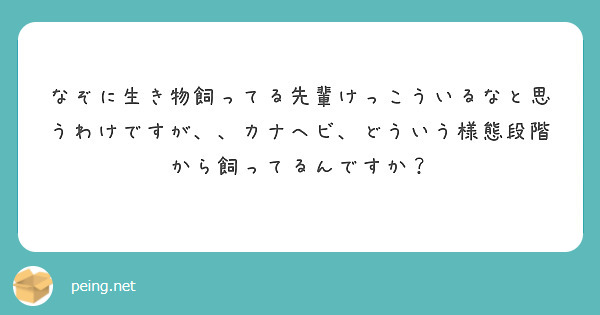 なぞに生き物飼ってる先輩けっこういるなと思うわけですが、、カナヘビ、どういう様態段階から飼ってるんですか？
