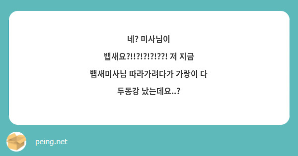 네? 미사님이 뱁새요?!!?!?!?!??! 저 지금 뱁새미사님 따라가려다가 가랑이 다 두동강 났는데요..?