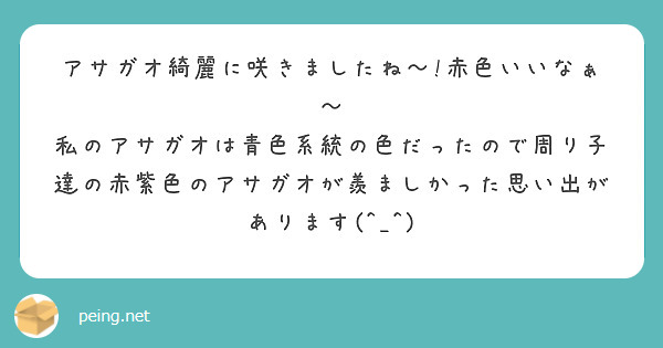 アサガオ綺麗に咲きましたね〜!赤色いいなぁ〜
私のアサガオは青色系統の色だったので周り子達の赤紫色のアサガオが羨ましかった思い出があります(^_^)