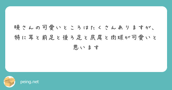 暁さんの可愛いところはたくさんありますが、特に耳と前足と後ろ足と尻尾と肉球が可愛いと思います