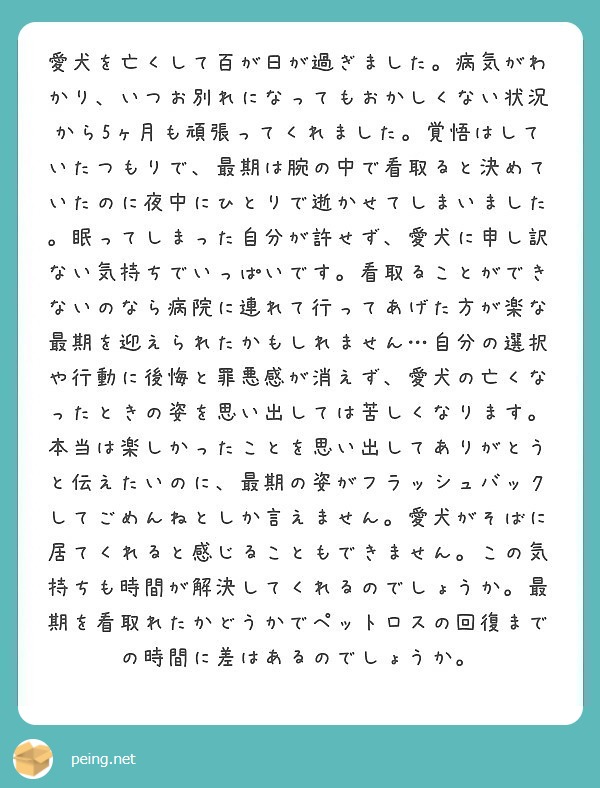 愛犬を亡くして百が日が過ぎました 病気がわかり いつお別れになってもおかしくない状況から5ヶ月も頑張ってくれまし Peing 質問箱