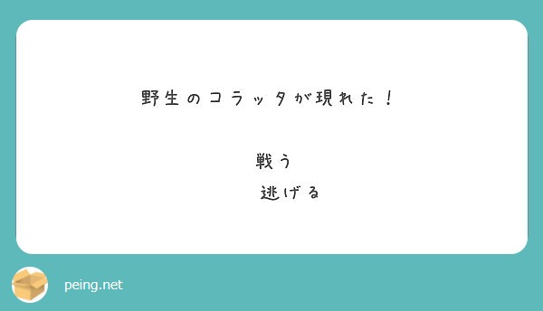 野生のコラッタが現れた 戦う 逃げる Peing 質問箱