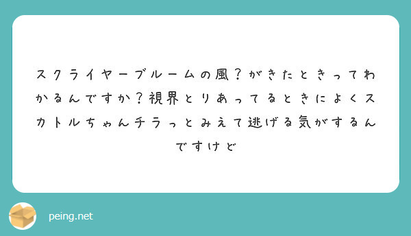 スクライヤーブルームの風 がきたときってわかるんですか 視界とりあってるときによくスカトルちゃんチラっとみえて逃 Peing 質問箱