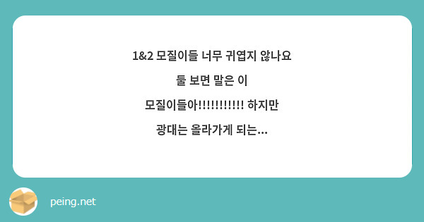 1&2 모질이들 너무 귀엽지 않나요
둘 보면 말은 이 모질이들아!!!!!!!!!!! 하지만 광대는 올라가게 되는...