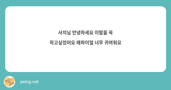 사치님 안녕하세요 이말을 꼭 하고싶었어요 래파이얼 너무 귀여워요
