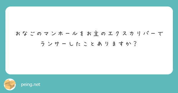おなごのマンホールをお主のエクスカリバーでランサーしたことありますか？