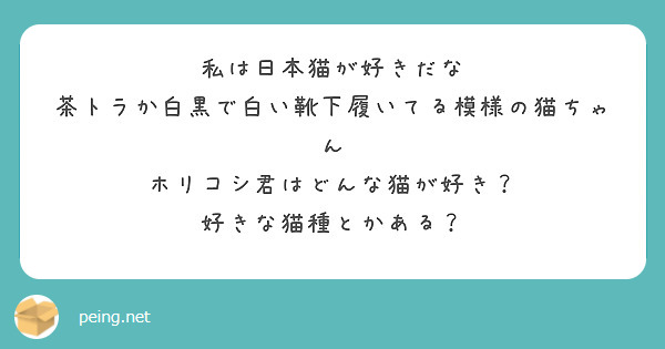 私は日本猫が好きだな 茶トラか白黒で白い靴下履いてる模様の猫ちゃん 