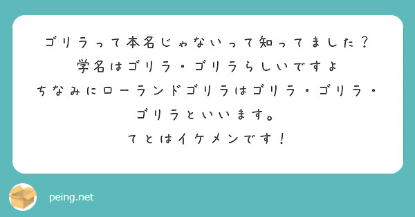 ゴリラって本名じゃないって知ってました 学名はゴリラ ゴリラらしいですよ Peing 質問箱 ゴリラって本名じゃないって知ってました 学名はゴリラ ゴリラらしいですよ Peing 質問箱