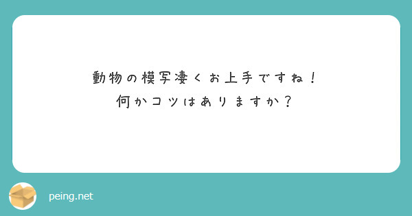 動物の模写凄くお上手ですね！
何かコツはありますか？