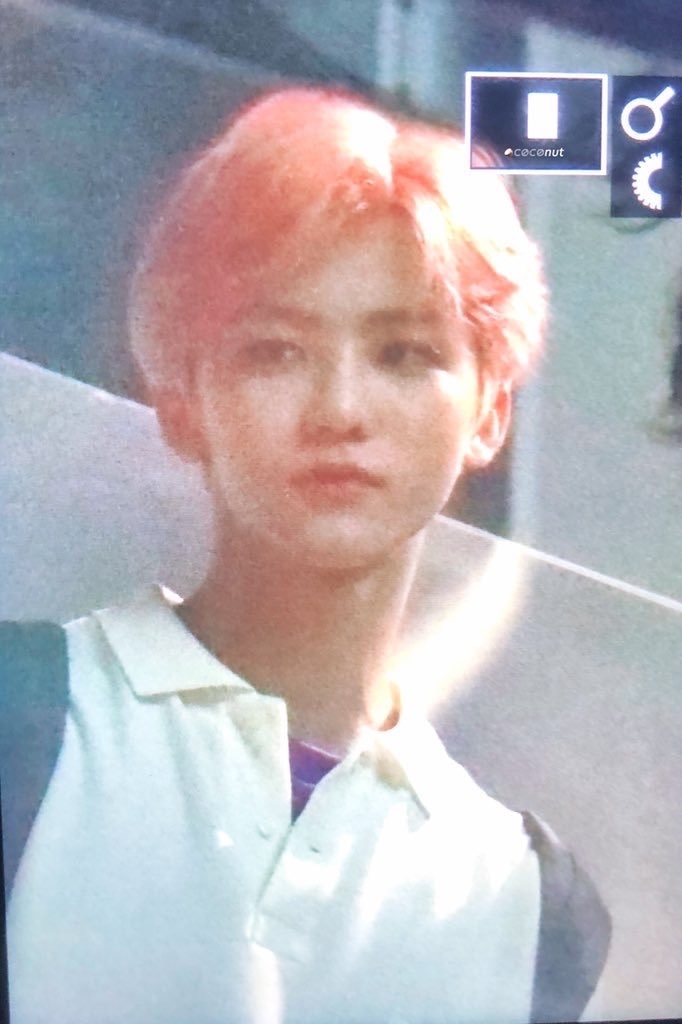 쨈