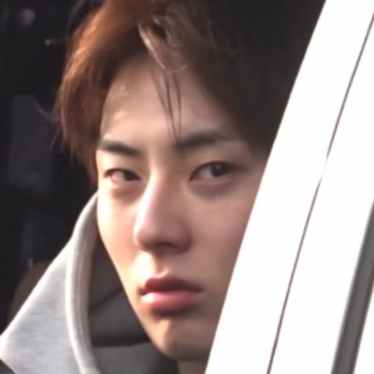 투유
