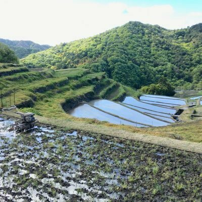 香川大学　棚田の会