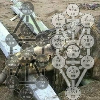 異世界から来たSCP-682｢不死身の爬虫類｣