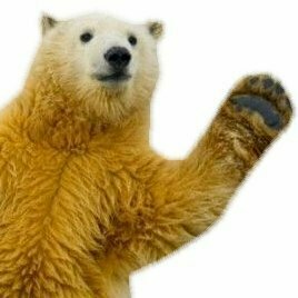 スキもん🐻錦糸町ホワイトラブ