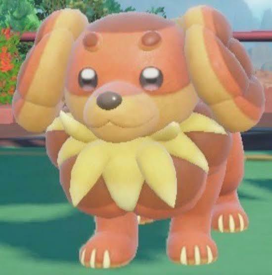 みんご🦩