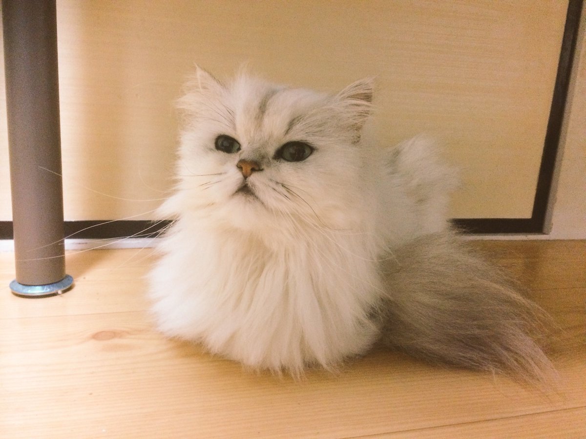 ひろ