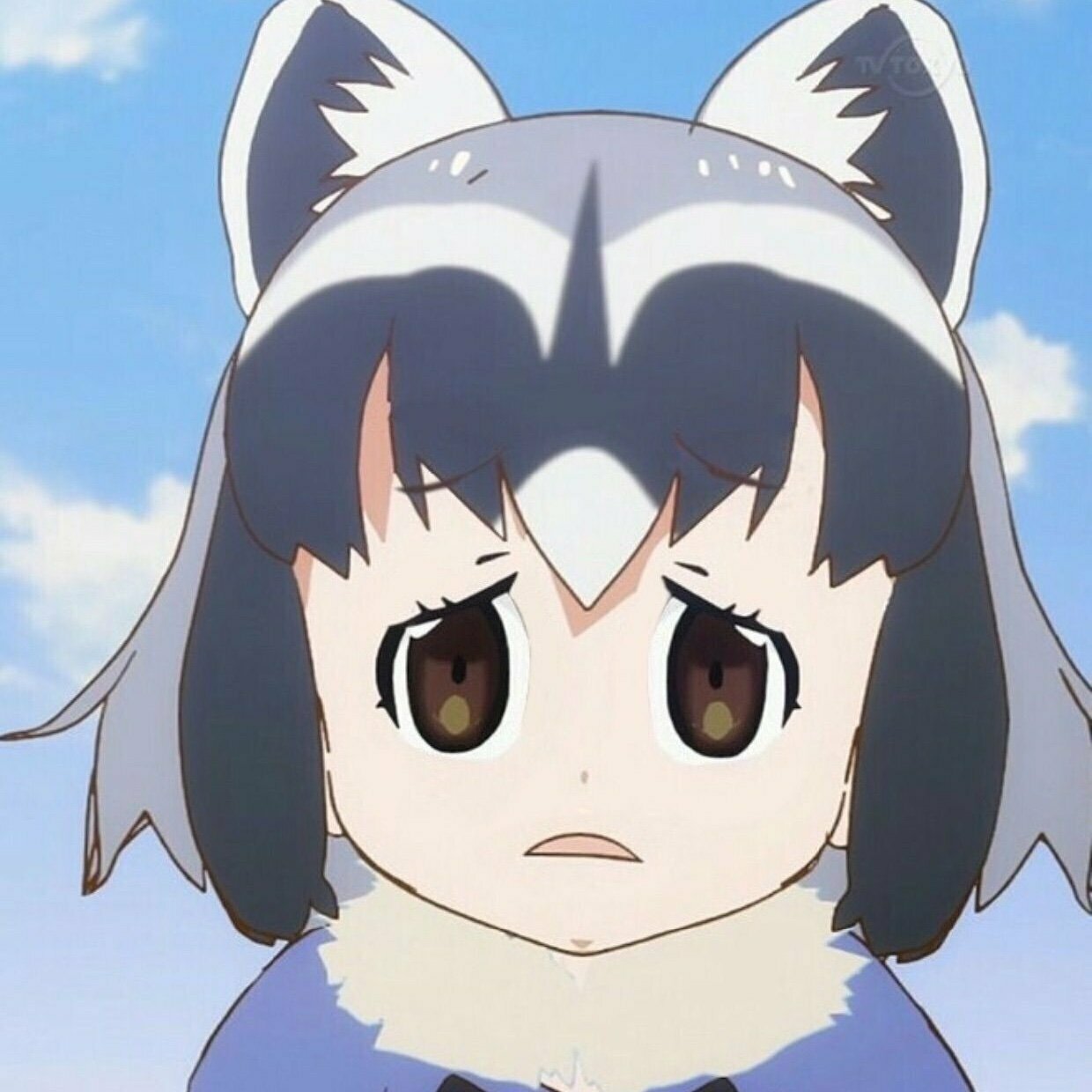 離婚したアライさん