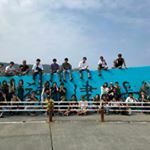 日大生物資源科学部公認ビーチバレーボールサークル