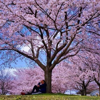 まさと