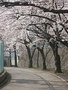 宇佐美桜あかり