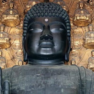 元麻布に住んでる年収5億の美人妻